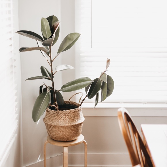 Meet your Posher, Kelsi - Picture 1 of 1